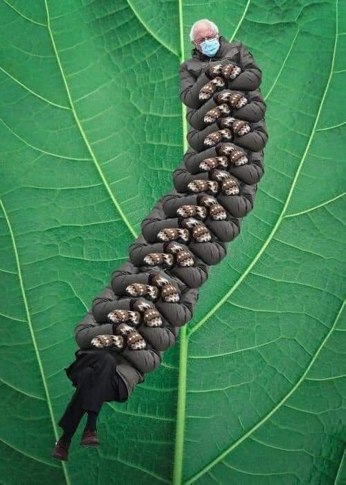 gUfIMpe.jpg