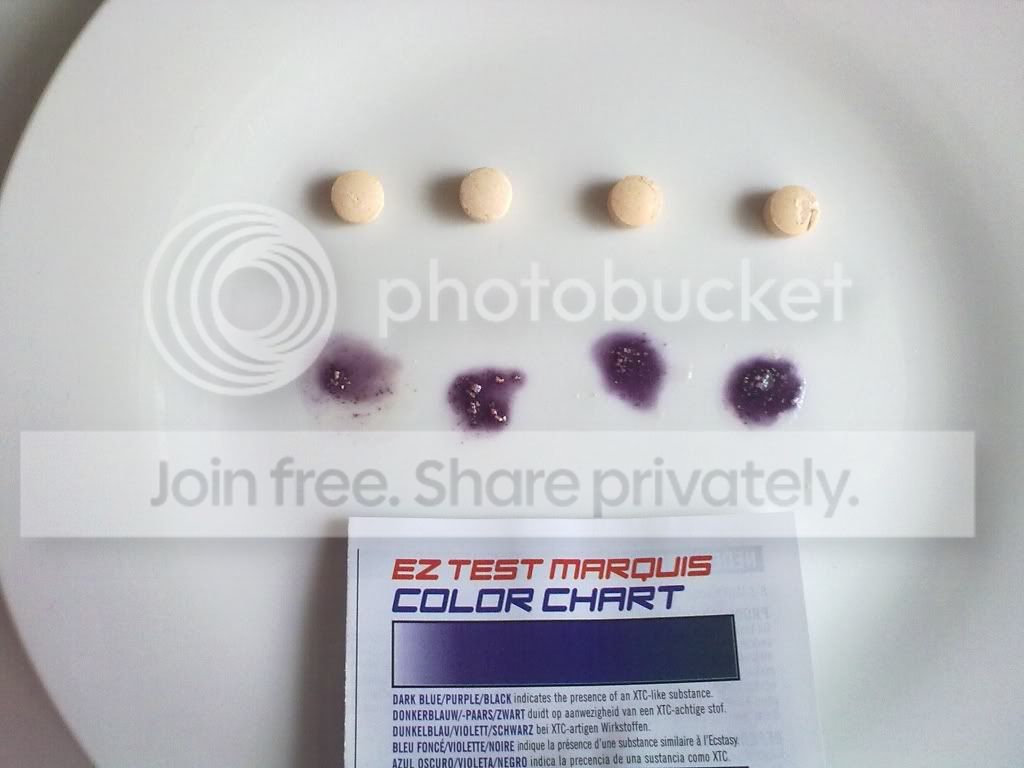 04082010264.jpg