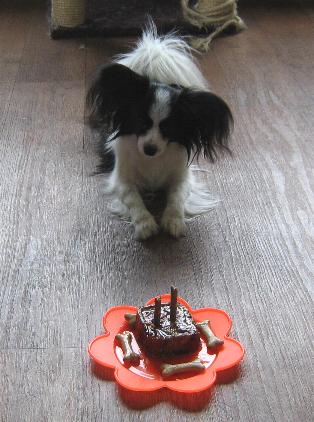 bobby2cake_down.jpg