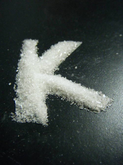 tumblr_lw6gueTJ9T1r0uy8oo1_500.jpg