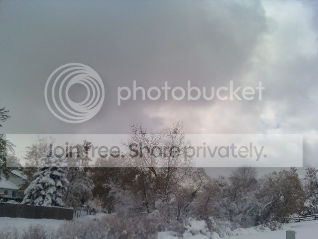 1102011355.jpg