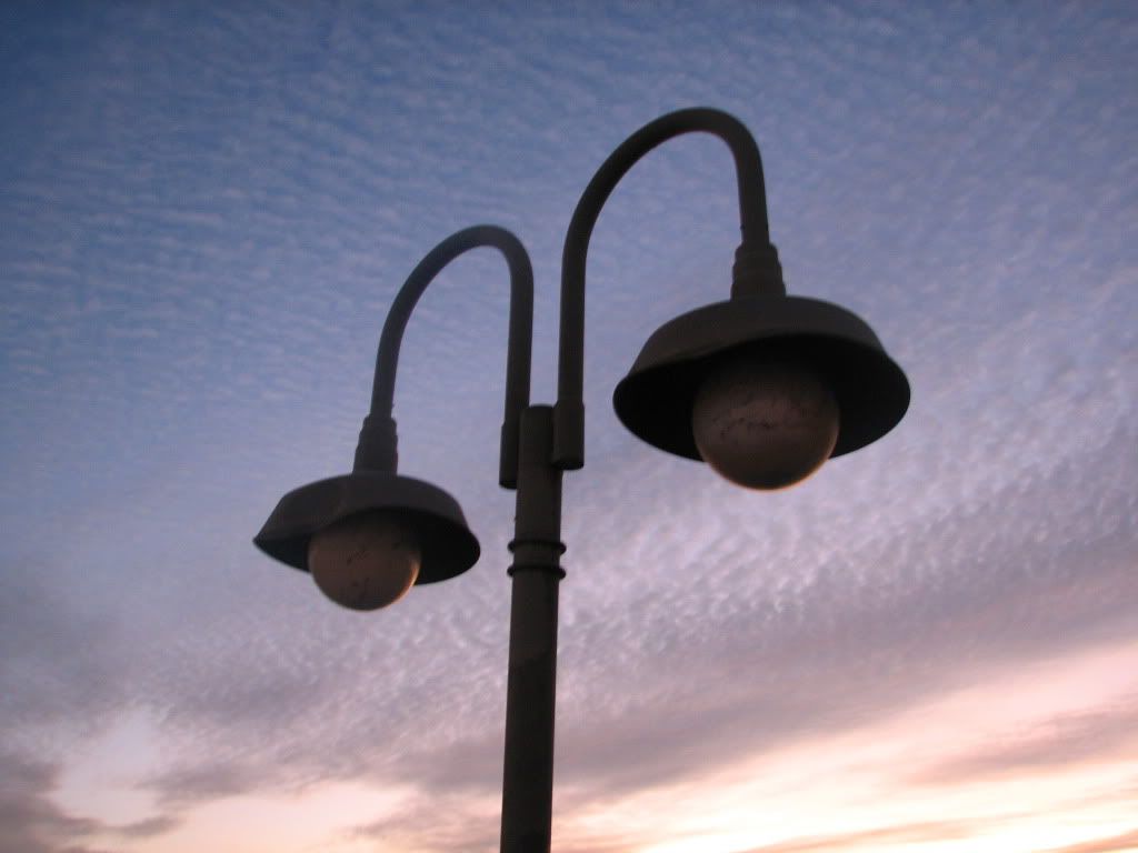 austin909028.jpg