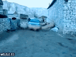 tumblr_m7chexAuf11rwcc6bo1_400.gif