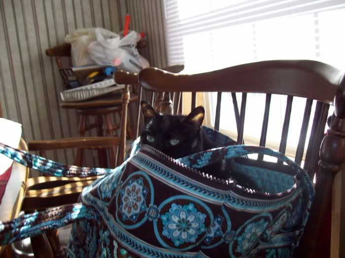Thumperpeekingout.jpg