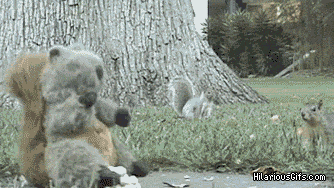 64mHkTR.gif