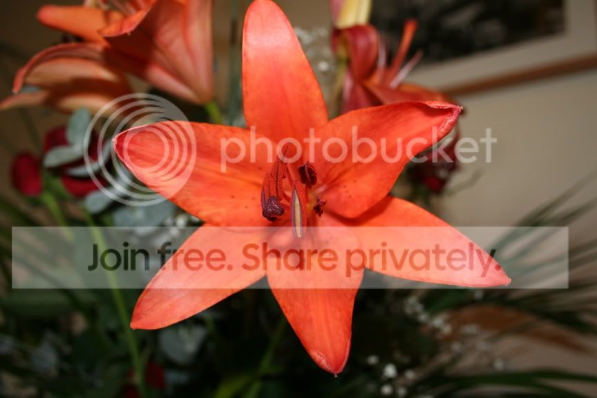 IMG_0418.jpg