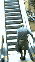 tumblr_macfy2YRrF1rnvwt1.gif