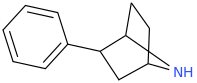 2-phenyl-7-azabicyclo[2.2.1]heptane.png