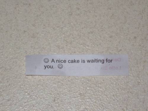tumblr_ljtnaejY9K1qj82bqo1_500.jpg
