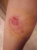 th_2012-03-09153012.jpg