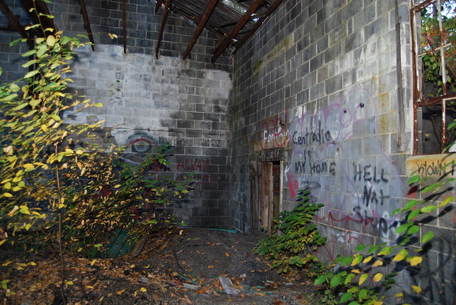 5111152780_74dbff6547_z.jpg