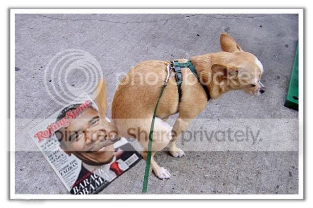 dog-pooping-on-obama.jpg