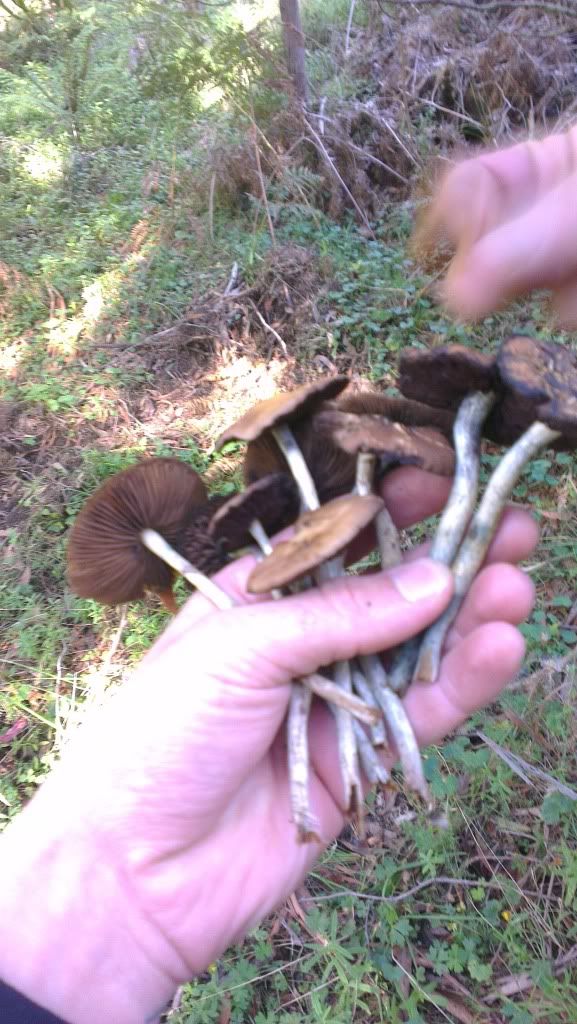 IMAG0671.jpg