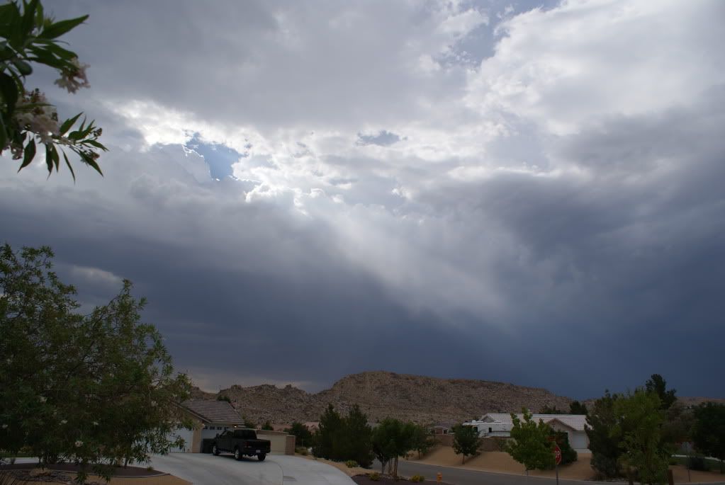 DSC09503.jpg