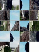 slide-puzzle.gif