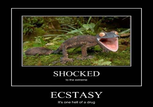 ecstasy_poster_5.jpg