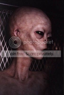 aliens20real20alien20pic.jpg