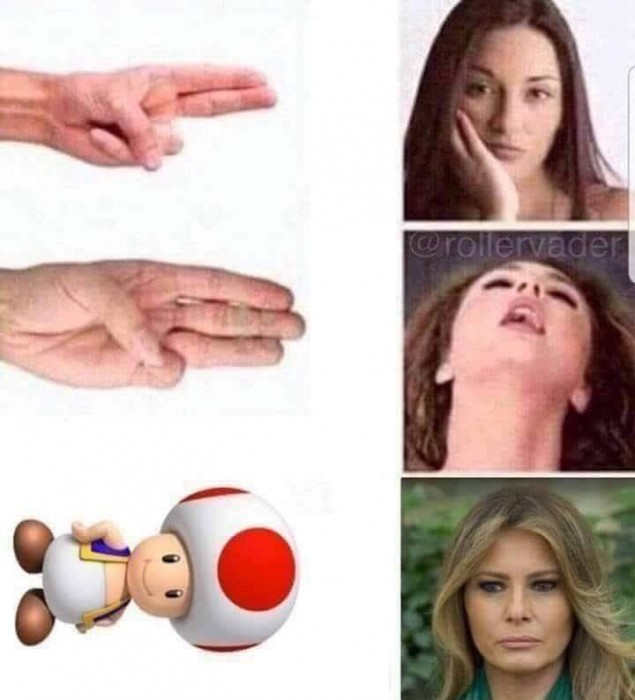 43223300-543146896123992-1426292767088181248-n.jpg