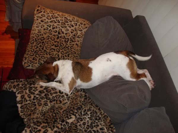 lounging1.jpg