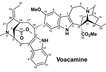 traitement-maladie-dalzheimer-plantes-T-RYSkBv.png