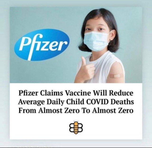 MpltZrXl.jpg