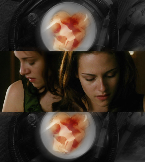 tumblr_ldxbtb8Xly1qd3lh0o1_500.jpg