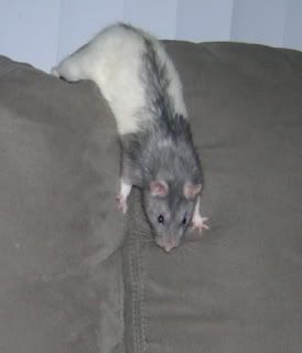 DSCN2857.jpg