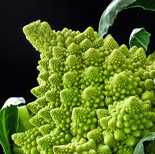 broccoli.jpg
