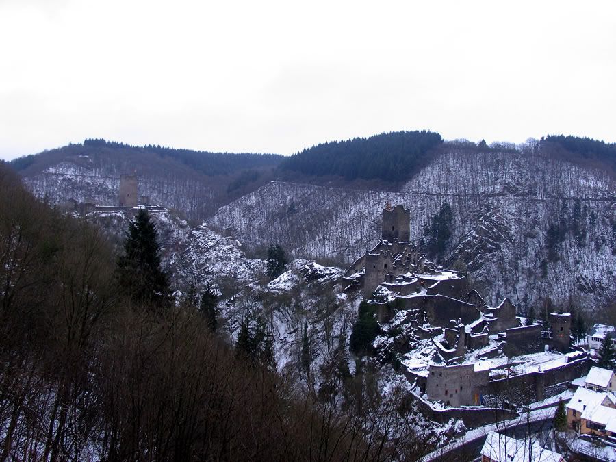 Niederburg_and_Oberburg_Vista.jpg