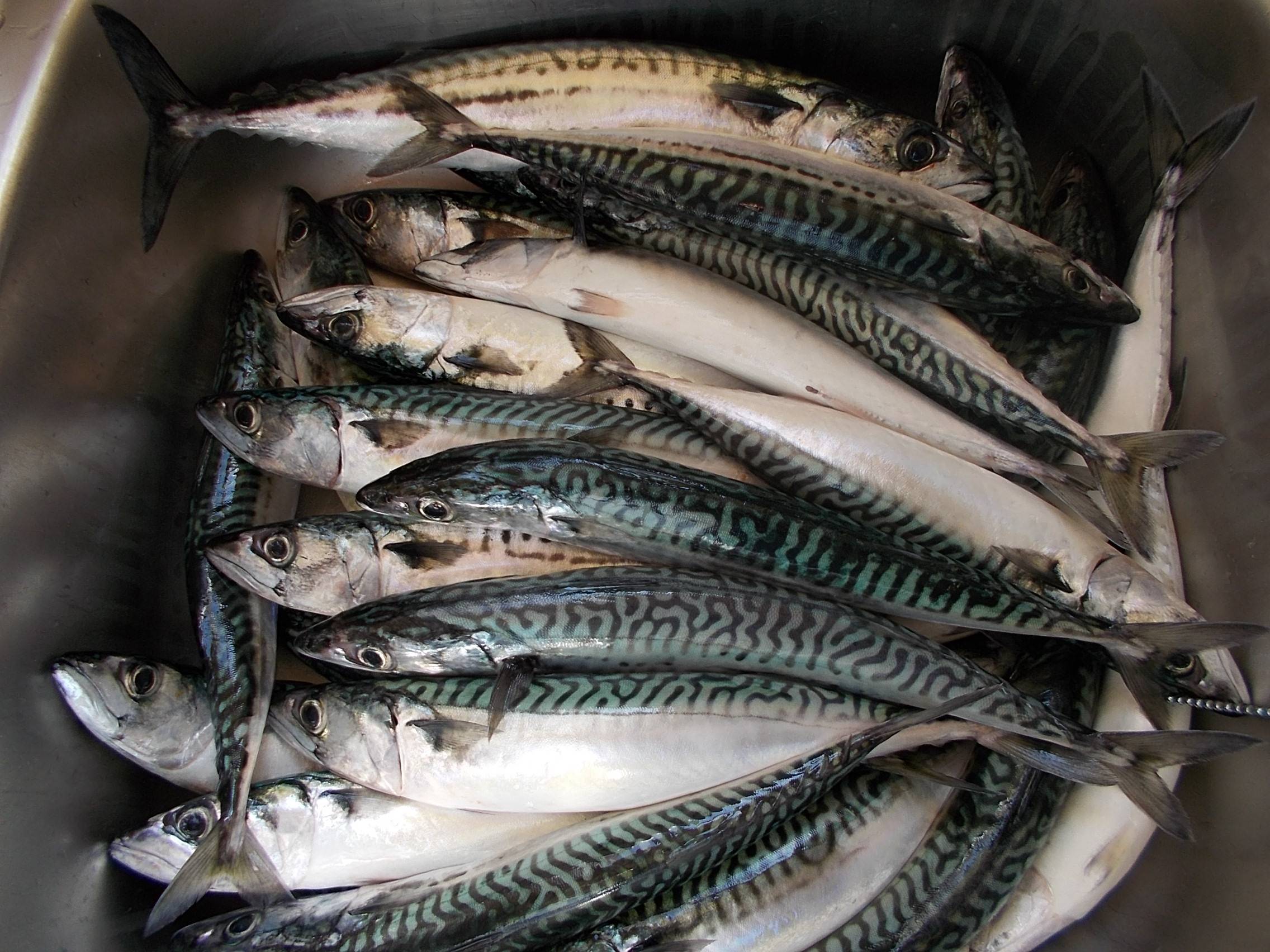 We8K6xR.jpg