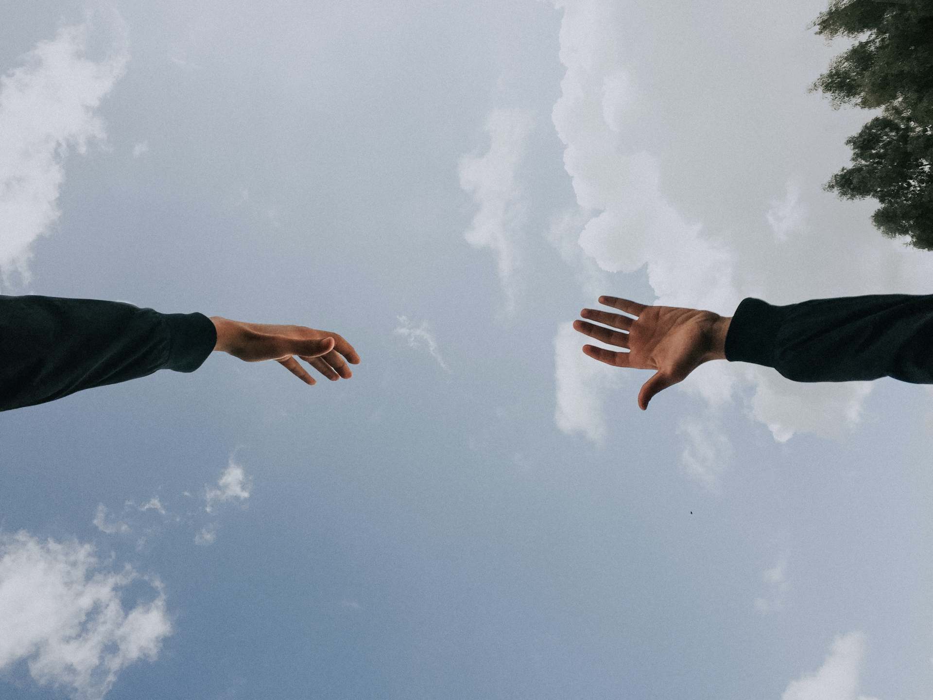 thethirdwave.co