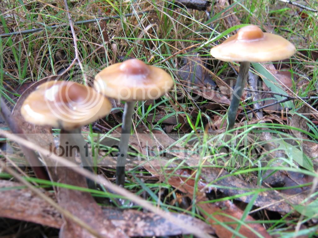 IMG_0735.jpg