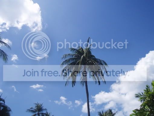 thailand106.jpg