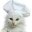 jenscat.gif