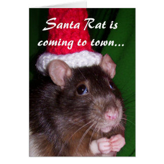 card_santa_rat-r841cdba1e2a24b00b1fac0cc1b30f392_xvuat_8byvr_324.jpg