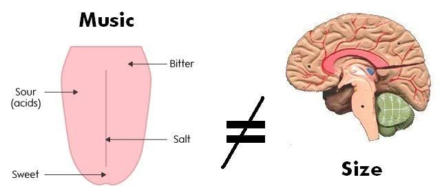 musicbrain.jpg