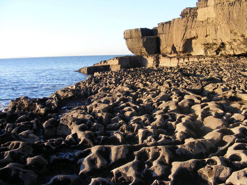 DSCF1093.jpg