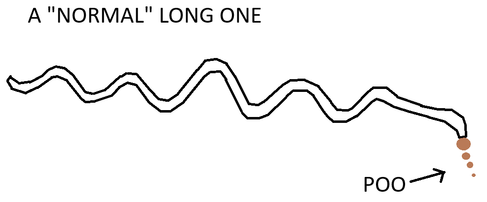 super-scaled.png