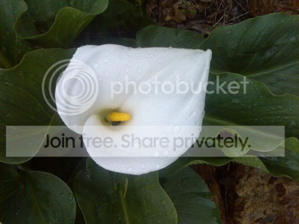l_e53fb0c3dbbfcbf0b3abcab8d5962991.jpg