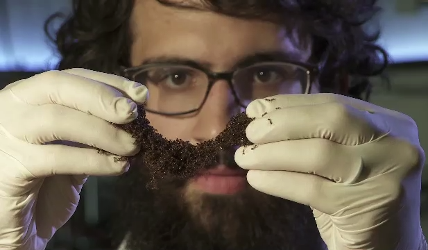 ant-bubble-gum.png