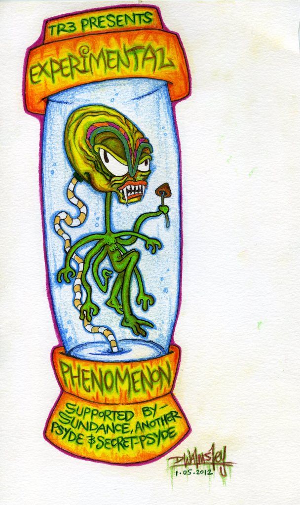 EXPERIMENTALPHENOMENON.jpg