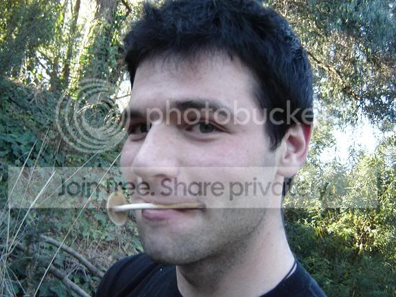 mtwaverly4.jpg
