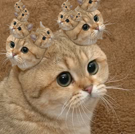14333384049261.jpg