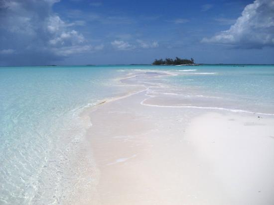the-point-treasure-cay.jpg