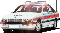 polizei-0007.gif