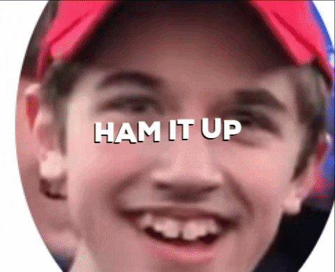 giphy.gif