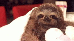 tumblr_mj416fHygm1rxgeeyo1_400.gif