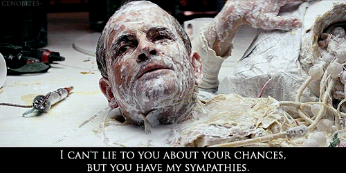tumblr_mopbtrMHWq1rne776o1_500.gif