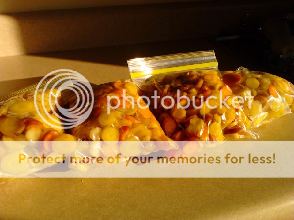 carrots_zps93b60f28.jpg