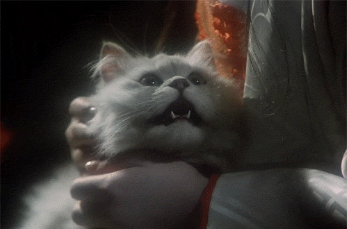 tumblr_lm1hmkvA7h1qg39ewo1_500.gif